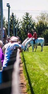 Horses? MHRPA will take TWO.