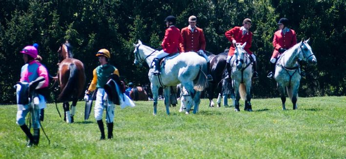 Horses, horses, horses!