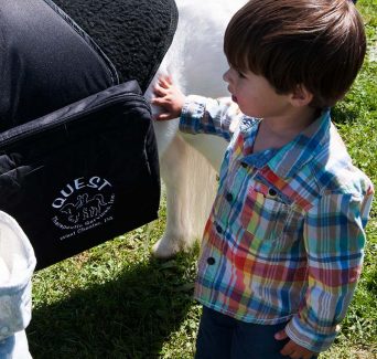MHRPA made a new friend in Quest Therapeutic Services of West Chester, PA. We treat humans, they handle the horses!